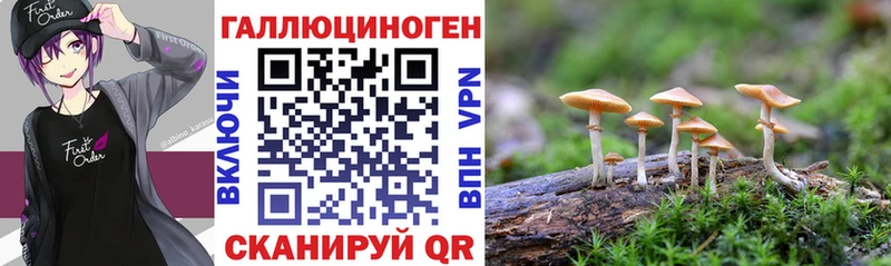 что такое наркотик  Комсомольск  Галлюциногенные грибы MAGIC MUSHROOMS 